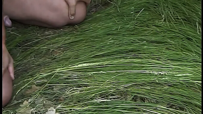 Buiten Pijpen En Klaarkomen In Het Hoge Gras